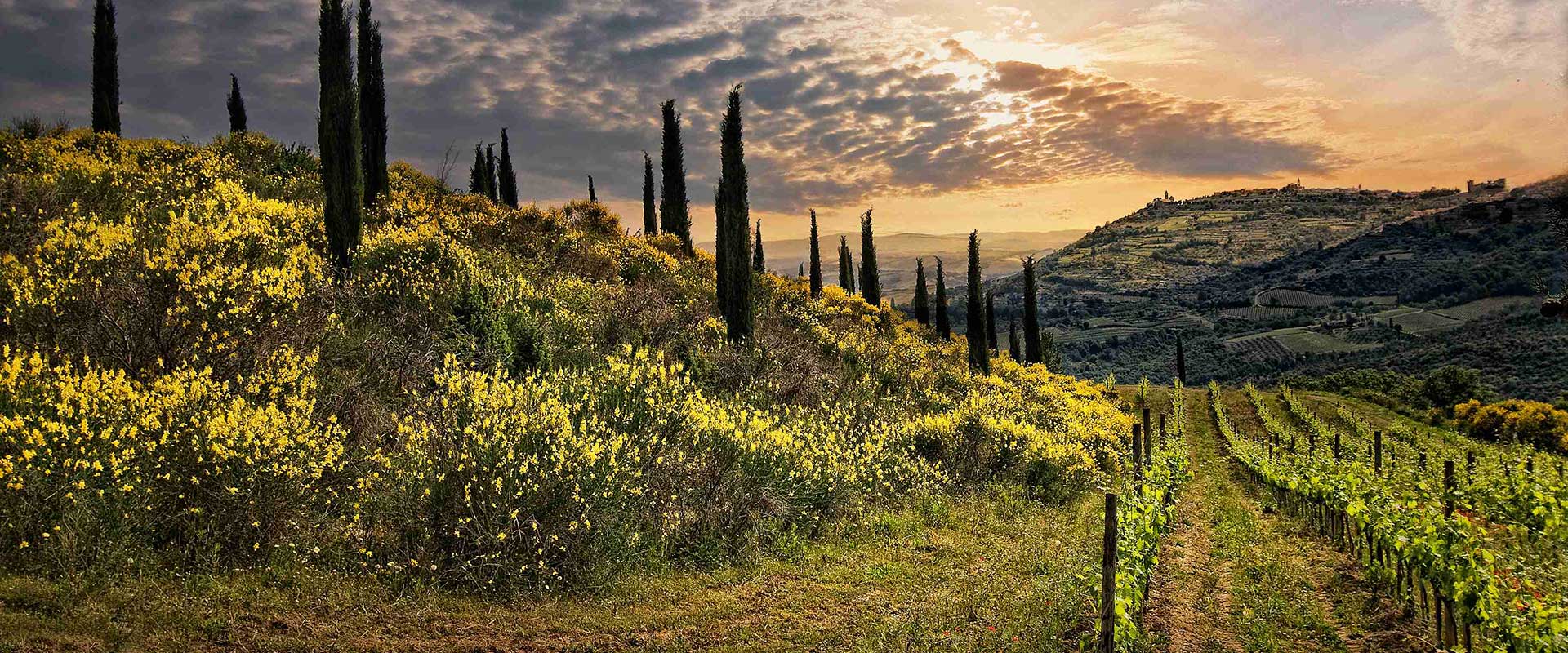 Surroundings | Azienda Agricola Ceppeto 1°