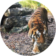 Giardino Zoologico di Pistoia