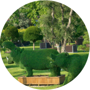 Villa La Magia - Dimora Medicea nel Comune di Quarrata | Azienda Agricola Ceppeto 1°